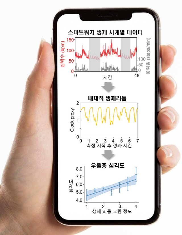 KAIST 뇌인지과학과 김대욱 교수 연구팀과 미국 미시간 대학교 수학과 대니엘 포저 교수팀이 우울증 관련 증상을 예측하는 기술을 개발해 시행한 연구결과 모식도. 사진제공=KAIST