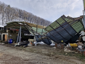 안성시, 11월 폭설피해 축산농가에 설 명절 전 재난복구비 지원