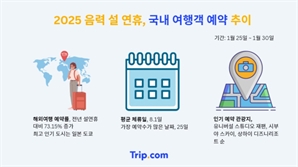 "설 연휴에 일본간다"… 해외여행객 73% 증가