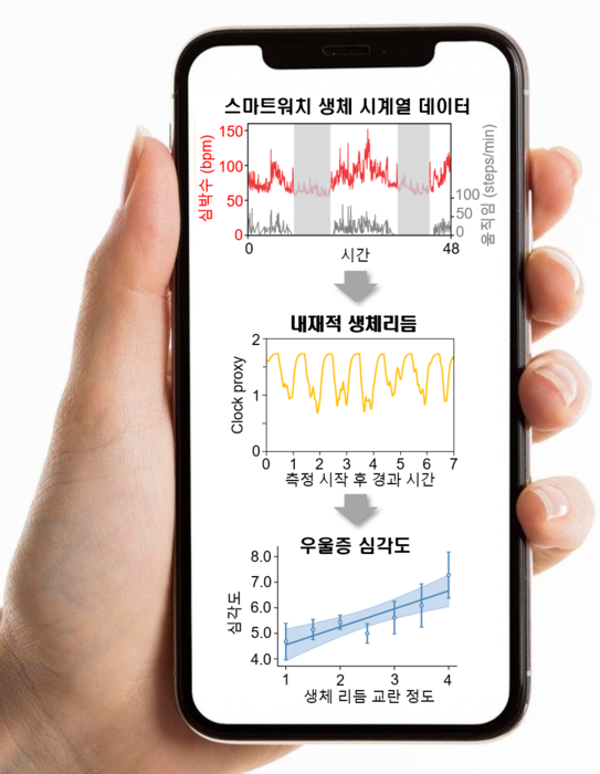 스마트워치로 수집한 생체 데이터를 기반으로 뇌 속 생체시계 위상과 수면 단계를 추정해 스마트폰에 구현된 연구결과 모식도. 사진 제공=KAIST