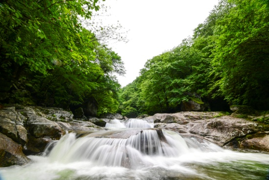 지리산 뱀사골 계곡. 사진 제공=남원시