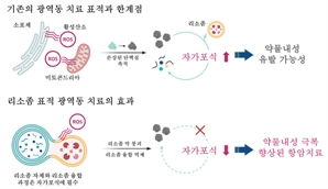 ‘항암제 내성 췌장암 조직 빛 쪼여 제거’ 광 반응 화합물 개발