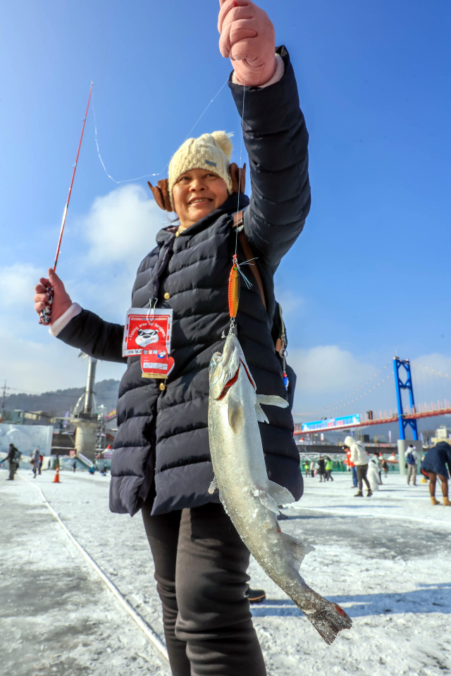 화천산천어축제가 개막한 지 일주일째를 맞은 가운데 18일 축제장인 강원 화천군 화천천 축제장에서 외국 관객이 낚시를 즐기고 있다. 사진 제공=화천군