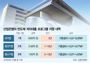 대출 대신 투자로 효과 극대화…기업당 수조원 자금 융통 가능