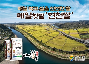 밥 맛 좋은 '매일첫쌀 연천쌀'…3개월 만에 150톤 판매 '호평'