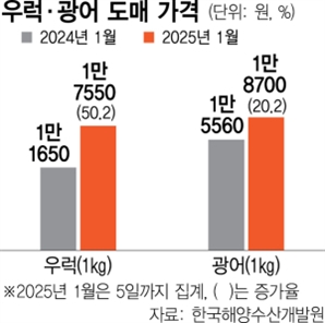 '국민 횟감' 인데…가격 50% 치솟은 우럭