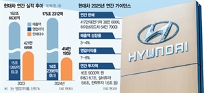 적게 팔고 많이 번 현대차…"올해 위기를 기회로" [biz-플러스]