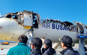 제주항공 참사 한달만에 에어부산 화재…국토부 "4월 항공안전 혁신대책 발표"