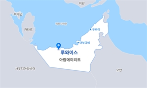 메탄올 강점 보인 삼성E&A, UAE서 2.5조 올해 첫 수주