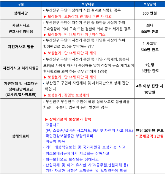 부산 부산진구 생활안전보험 보장 항목. 사진제공=부산진구