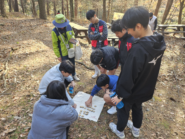 전북 무주 덕유산국립자연휴양림을 찾은 방문객들이 숲에서 놀이를 즐기고 있다. 사진제공=산림청