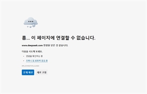 '개인정보유출 우려' 경기 지자체, 中 딥시크 접속 속속 차단