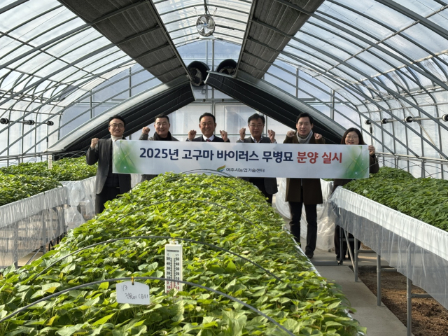 여주시농업기술센터 관계자들이 고구마 바이러스 무병묘 분양을 기념해 사진촬영을 하고 있다. 사진 제공 = 여주시