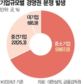 상의 "경영분쟁 70%가 중기…상법 개정땐 기업 사냥꾼 타깃"