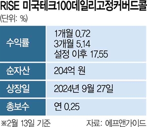 월 배당·美기술주 '두 토끼' 5개월만에 수익률 17.55%  RISE [ETF 줌인]