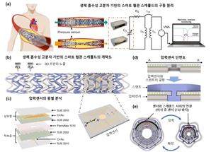 생기원, 실시간 모니터링 가능한 차세대 혈관 스캐폴드 개발