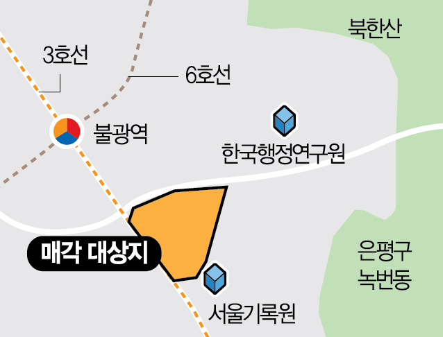 사진 설명