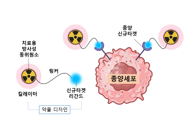 방사성 리간드 치료제의 종양 치료 기전. 사진 제공=서울대병원