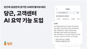 당근, '고객 문의' AI 답변 기능 도입