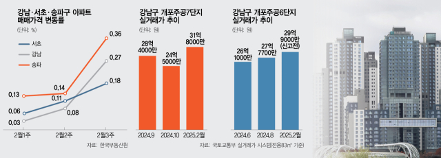 사진 설명