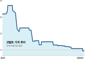 전세계 코발트 4분의 3 공급하는 콩고 "4개월 수출 중단" [글로벌 왓]