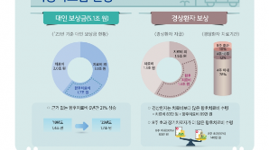 "경상환자 합의금 사라진다"…정부, 車 보험 나이롱 환자 잡기 나서