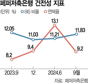 페퍼, 내달 수백억 증자…한숨 돌린 저축銀업계