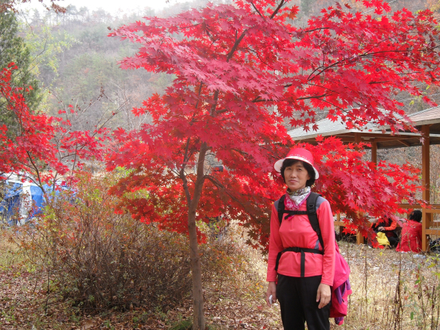 기증자 권태숙 씨의 생전 모습. 사진 제공=한국장기조직기증원