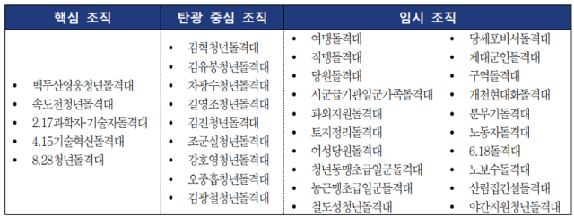 2024년 한 해 동안 노동신문 기사에 언급된 ‘돌격대’ 조직 현황. 통일연구원