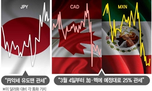 "엔·위안화 약세, 관세 이유된다"…트럼프 절대반지가 휘저은 외환시장