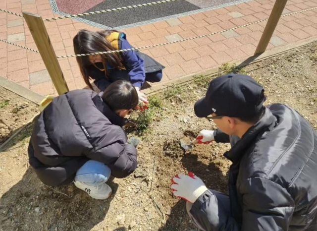 울산 북구에 위치한 한 아파트 텃밭에서 김 모(43) 씨 가족들이 삽으로 땅을 파 모종을 심고 있다. 독자 제공