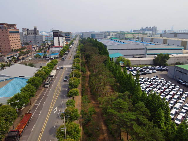 경기도 평택시 포승산업단지 미세먼지 차단숲. 사진제공=산림청