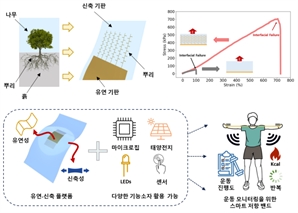 "1000번 구겨도 끄떡 없네"…스트레처블 TV에 적용하면?