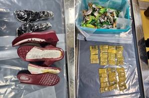 제주 무비자 입국 악용하는 외국인들…과자봉지·스틱커피에 마약 반입하려다 '덜미'