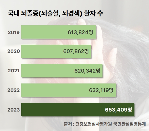 2019-2023년 국내 뇌졸중 환자 현황. 사진 제공=분당서울대병원·건강보험심사평가원