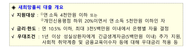 목표만 높게 잡은 정책금융의 실패…새희망홀씨 4년째 미달 [S머니-플러스]