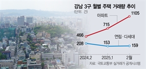 “같은 강남이어도 빌라 안 사”…아파트만 거래량·가격 뛰었다