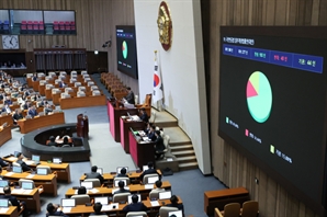  절반의 연금 개혁, 보다 근본적인 수술도 착수하라