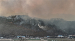 전국 동시다발 산불 원인은…고온건조한 날씨에 강풍까지