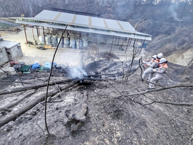 23일 오전 산림당국이 울산시 울주군 온양읍 운화리 야산에서 전날 시작된 산불의 잔불을 정리하고 있다. 사진제공=울산소방본부