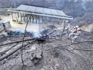 [속보] 산불 피해 부울고속도로 대부분 통제 해제