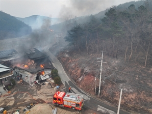 코레일 "산불 중단 중앙선 안동-경주 구간 철도 운행 재개"