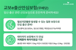 교보생명, HD현대 임직원 출산 돕는 '교보e출산안심보험' 출시