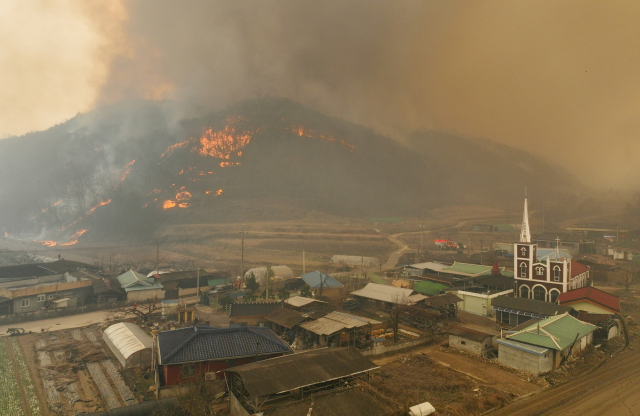 산불이 나흘째 이어지고 있는 경북 의성군 하령리 일대 야산에서 25일 불길과 연기가 타오르고 있다. 22일 의성군에서 시작된 산불은 강한 바람을 타고 번지며 안동 길안면·풍천면까지 확산한 상태다. 산림 당국에 따르면 이번 산불 피해 규모는 역대 세 번째로 큰 것으로 파악됐다. 의성=뉴스1