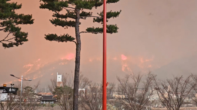 경북 의성 산불이 청송으로 확산된 25일 경북 청송군 청송문화예술회관에서 바라본 산이 불타고 있다. 독자 제공, 연합뉴스