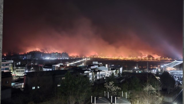 경국대에서 바라본 안동 산불 현장. 독자제공.