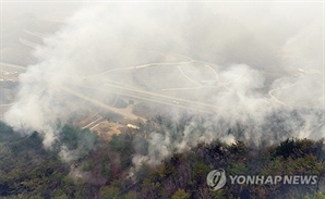 주왕산에 다시 불길…천년고찰 대전사 위협에 승려까지 방어 사활