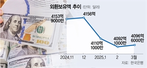 외환보유고 두달째 4100억 달러 밑 [Pick코노미]