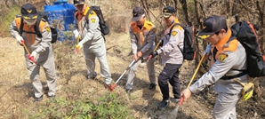 산불서 할머니 업고 뛴 외국인 3명…"장기 거주 자격 부여"