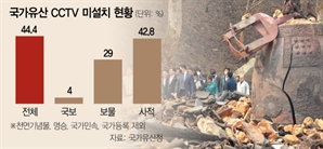고운사, 운람사 줄줄이 집어삼켰는데…CCTV도 없는 국가유산들